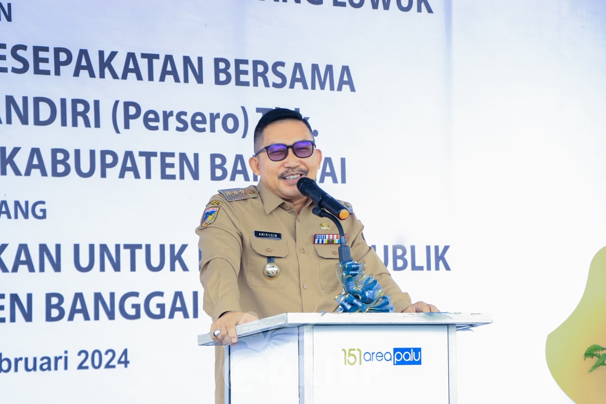 satu juta satu pekarangan